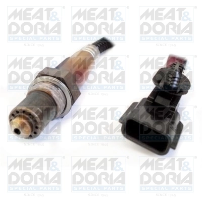Oxygen Sensor